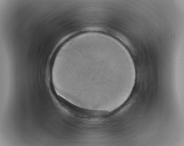 X0000112970984200910081042