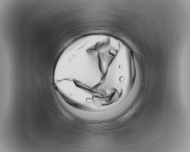 X0000112970985200910081042