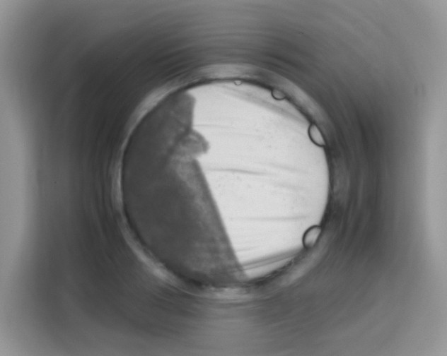 X0000112970986200910081042