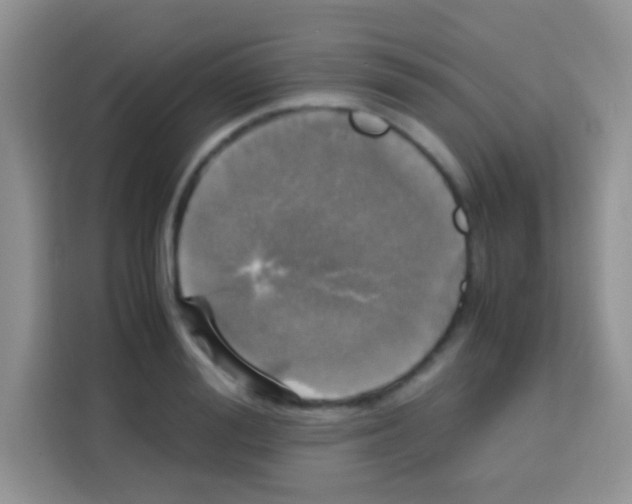X0000112970988200910081042