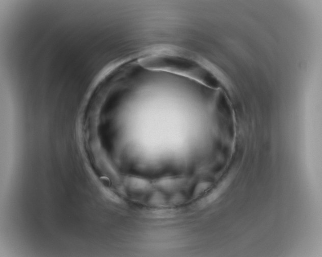 X0000112970989200910081042