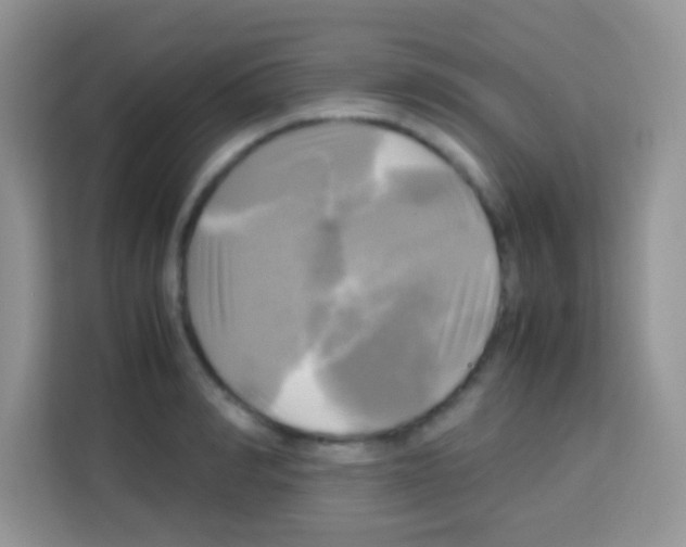X0000112970990200910081042