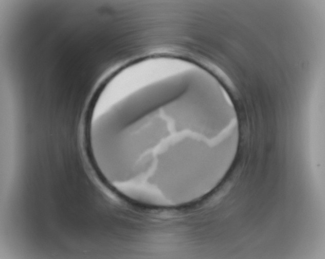X0000112970991200910081042