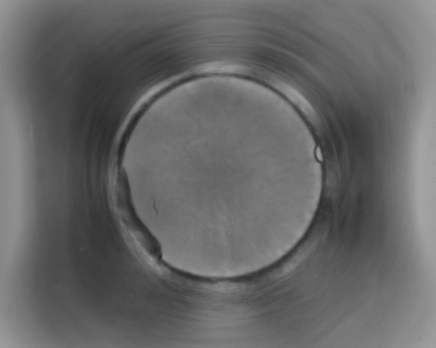 X0000112970992200910081042