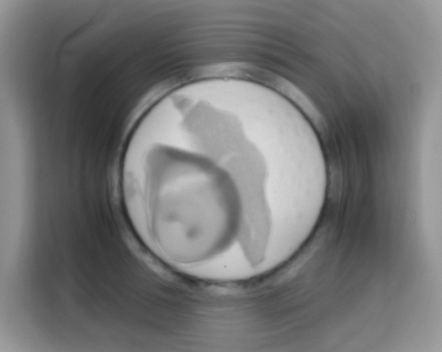 X0000112970994200910081042