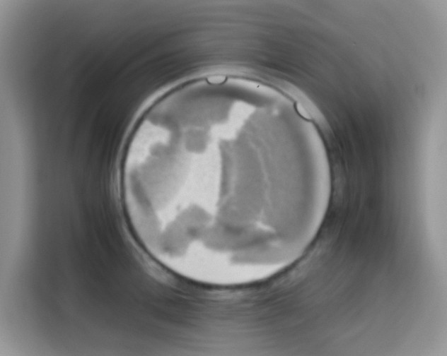 X0000112970996200910081042