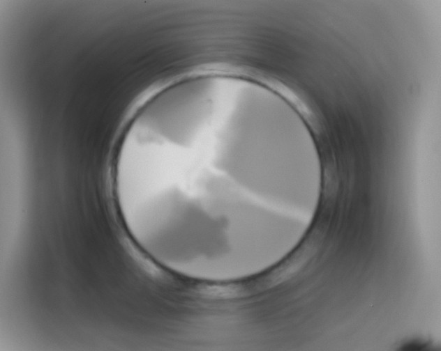 X0000112970998200910081042