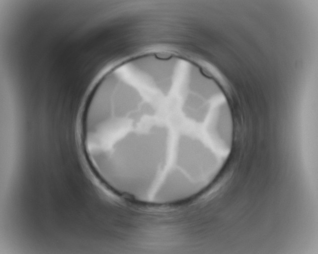 X0000112970999200910081042