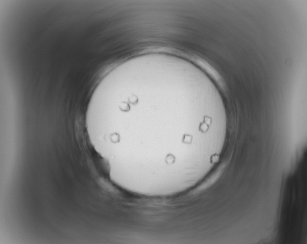 X0000112971001200910081042