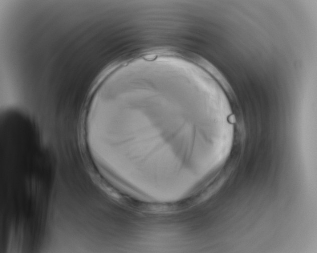 X0000112971002200910081042