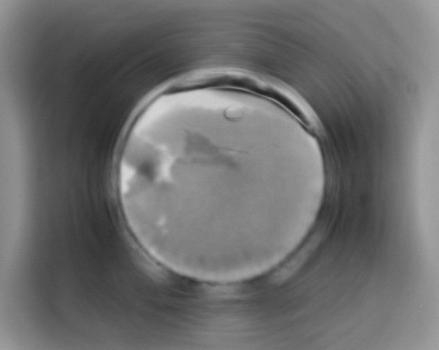 X0000112971004200910081042