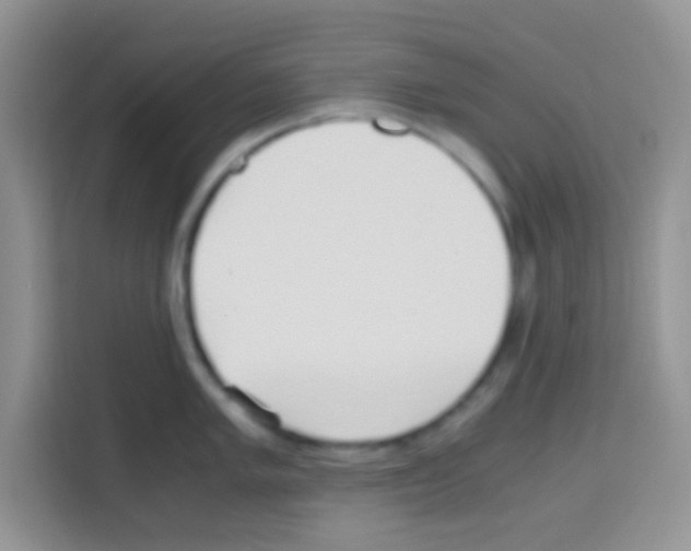 X0000112971005200910081042