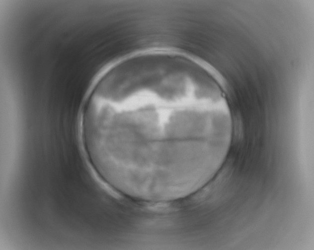X0000112971006200910081042