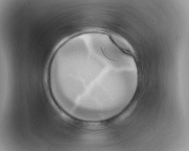 X0000112971007200910081042