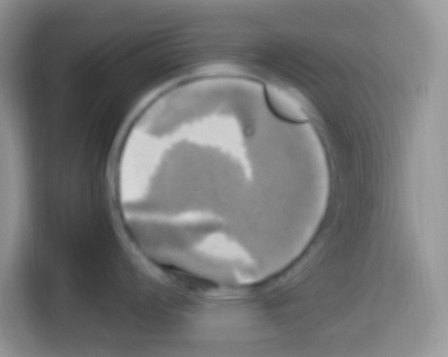 X0000112971008200910081042