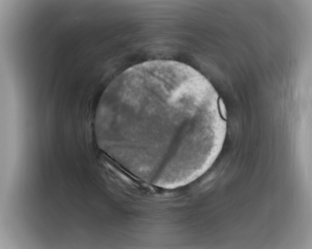 X0000112971010200910081041
