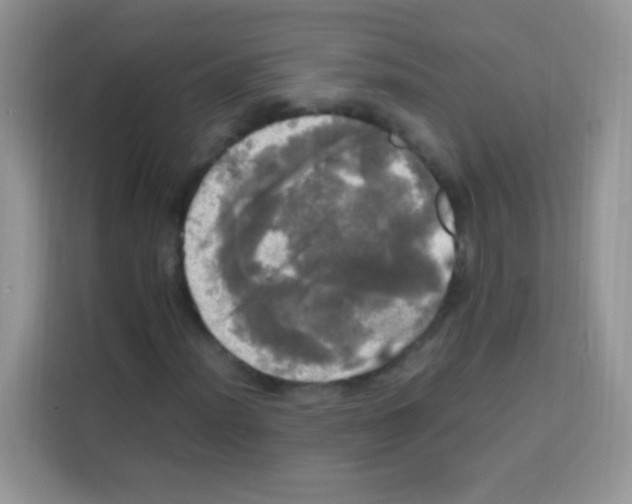 X0000112971012200910081041