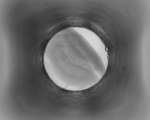 X0000112971013200910081041