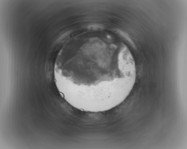 X0000112971015200910081041