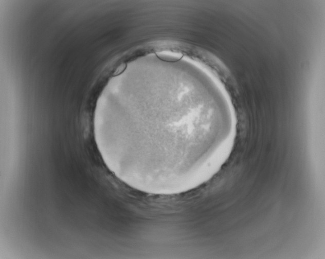 X0000112971016200910081041