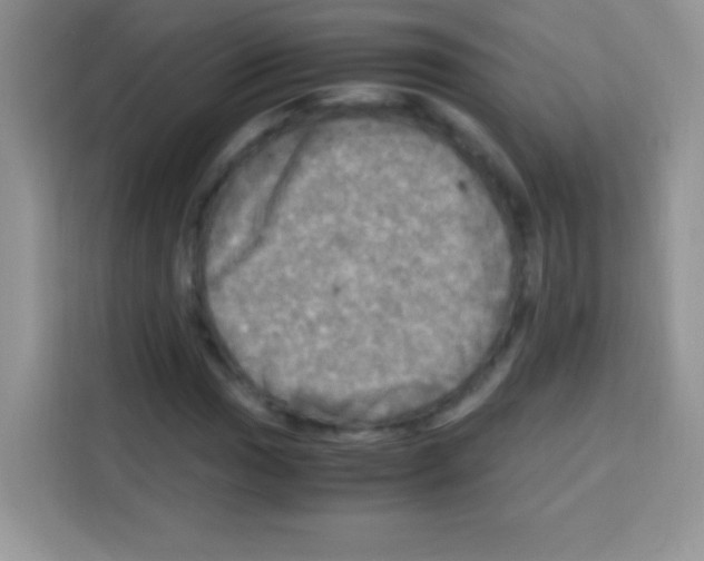 X0000112971017200910081041