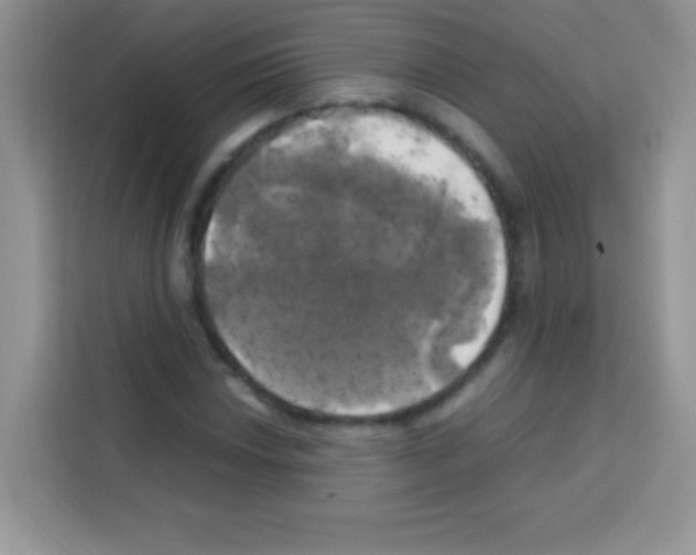 X0000112971018200910081041