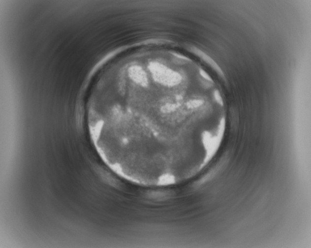 X0000112971021200910081041