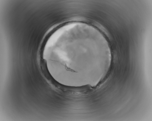 X0000112971024200910081041