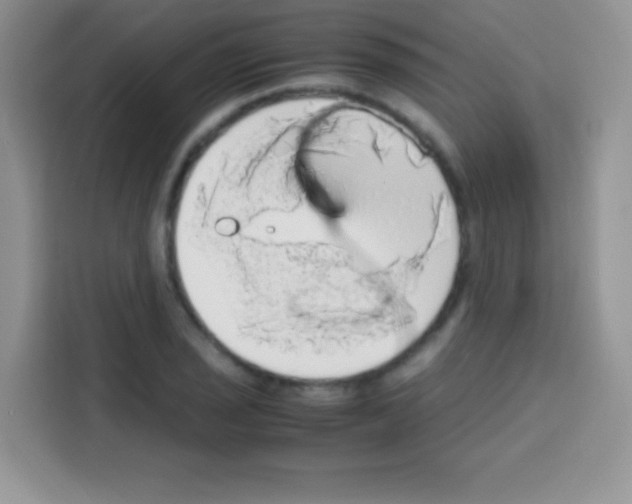 X0000112971029200910081041