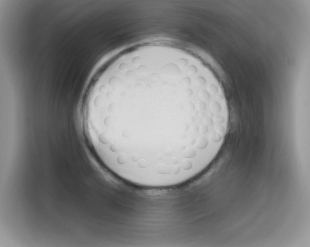 X0000112971032200910081041