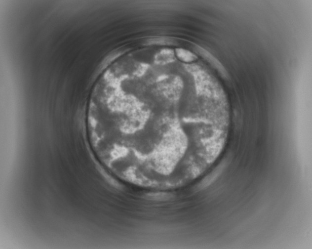 X0000112971033200910081041