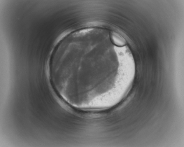 X0000112971034200910081041