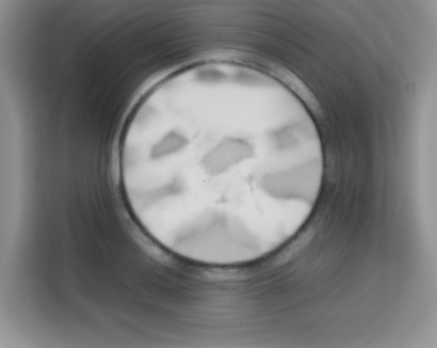 X0000112971036200910081041