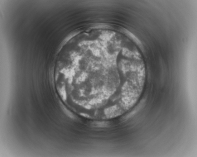 X0000112971041200910081041