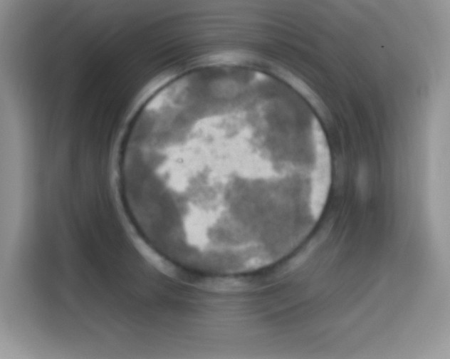 X0000112971042200910081041