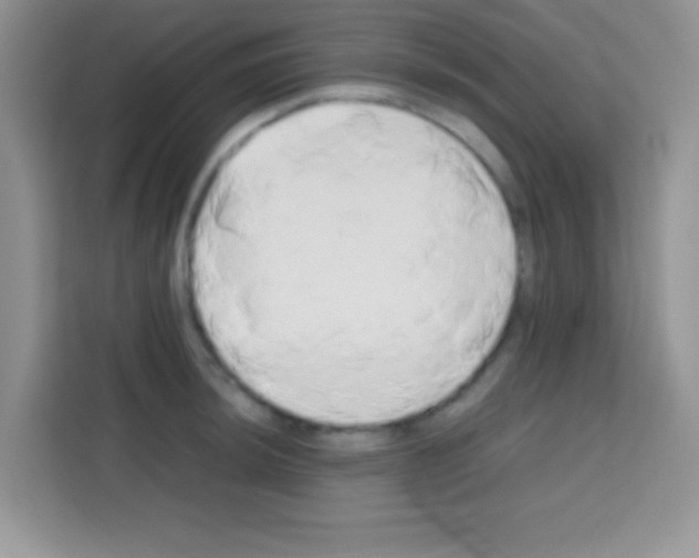X0000112971044200910081041