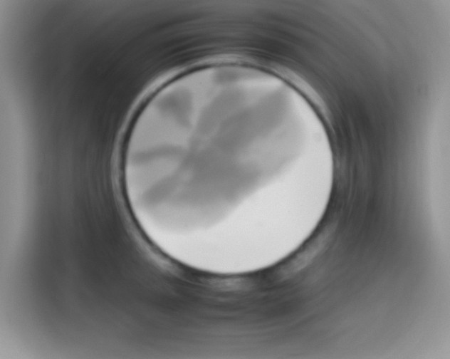 X0000112971045200910081041