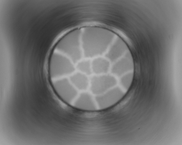 X0000112971046200910081041