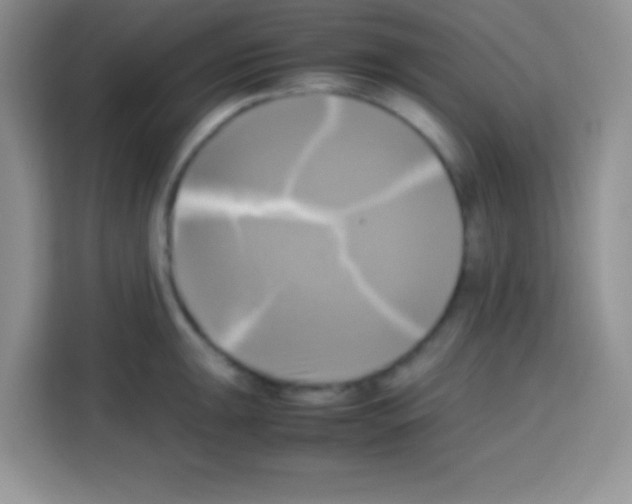 X0000112971047200910081041