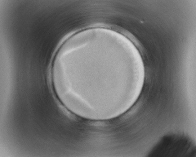 X0000112971048200910081041