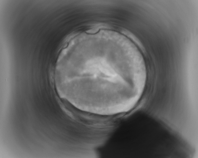 X0000112971049200910081041
