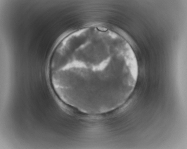 X0000112971050200910081041