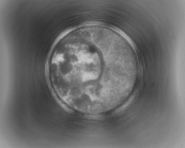 X0000112971053200910081041