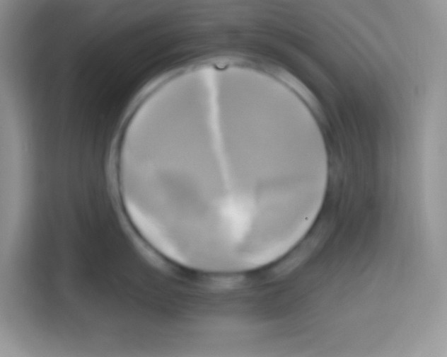 X0000112971055200910081042