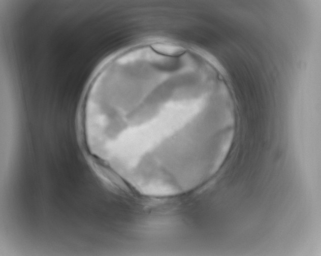 X0000112971056200910081042