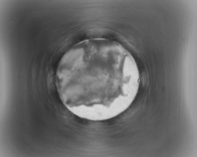 X0000112971059200910081041