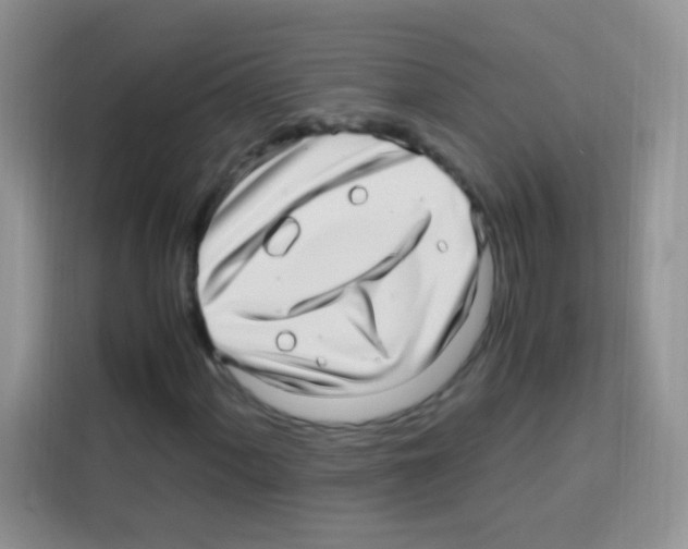 X0000112971060200910081041