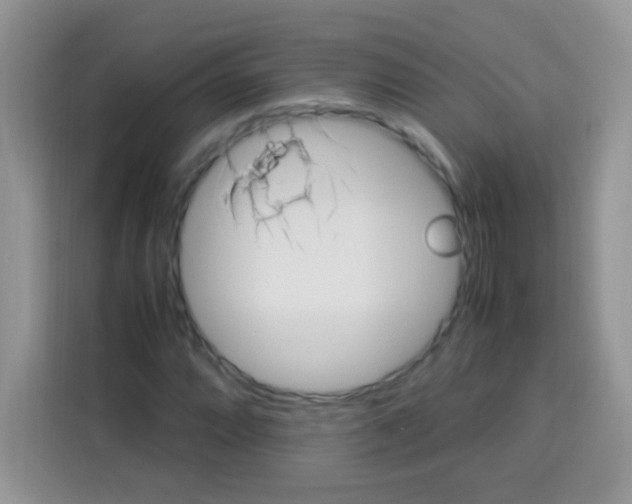 X0000112971064200910081041