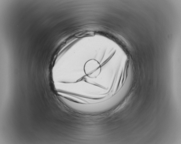 X0000112971065200910081041