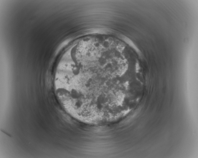 X0000112971067200910081041